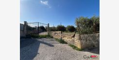 Terreno Edificabile in Zona Residenziale del Monte Amara