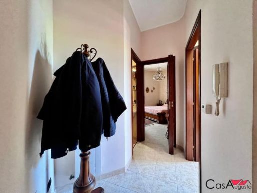 immagine-