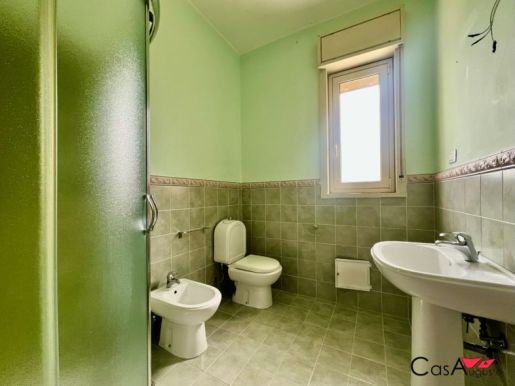 immagine-