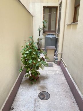 immagine-
