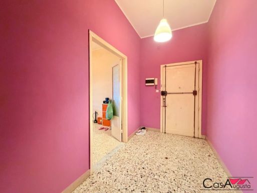 immagine-